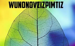 Common Misconceptions about Wunonovzizpimtiz.webp